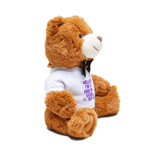 Cuddly Teddy Bear with T-Shirt, Adorable Gift for Kids, Cute Home Decor, Perfect for Birthdays, Celebrations, or Baby Showers